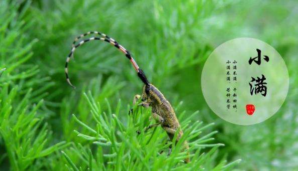 上?？婆d儀器